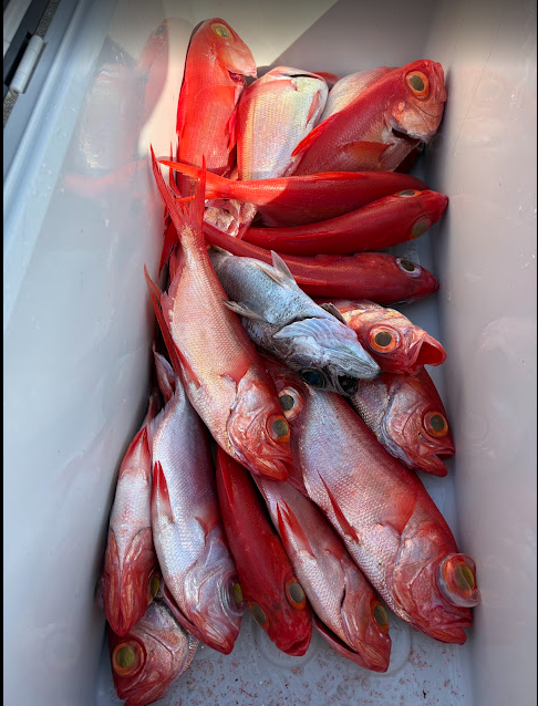 スクリーンショット 2025-12-04 171106